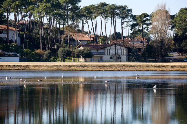 Une balade en v&eacute;lo le long d'un lac ou en bord de mer &agrave; Biscarrosse ?